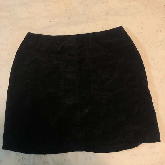 Corteriod skirt - Picture 2 of 3
